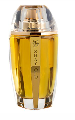 Anfasic Dokhoon's Shayoud