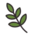 Aromatic